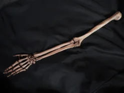 Skeletons And More Skeletons, Skulls & Bones Full Skeletal Arm