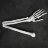 Skeletons And More Skeletons, Skulls & Bones Full Skeletal Arm