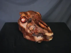 Dapper Cadaver Workshop Roasted Goat Head