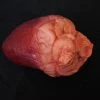 Dapper Cadaver Workshop Small Lifelike Heart Prop Organs