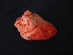 Dapper Cadaver Workshop Small Lifelike Heart Prop Organs