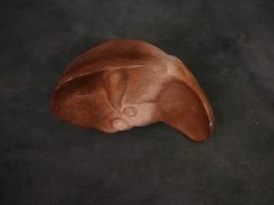 Dapper Cadaver Workshop Prop Organs Small Prop Liver