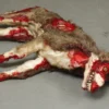 Dapper Cadaver Workshop Wounded Coyote Prop