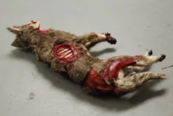 Dapper Cadaver Workshop Wounded Coyote Prop