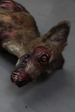 Dapper Cadaver Workshop Dog & Cat Props Wounded Brown Dog Prop