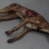 Dapper Cadaver Workshop Dog & Cat Props Wounded Brown Dog Prop
