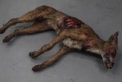 Dapper Cadaver Workshop Dog & Cat Props Wounded Brown Dog Prop