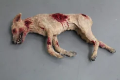 Dapper Cadaver Workshop Wounded Rocky Dog