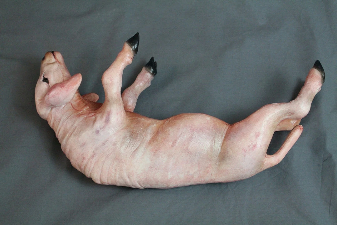 Dapper Cadaver Workshop Skinned Yearling Lamb 4 Dapper Cadaver Workshop Skinned Yearling Lamb