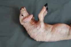 Dapper Cadaver Workshop Skinned Yearling Lamb 10 Dapper Cadaver Workshop Skinned Yearling Lamb