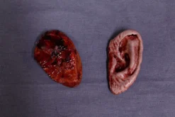 Dapper Cadaver Workshop Zombie Ear