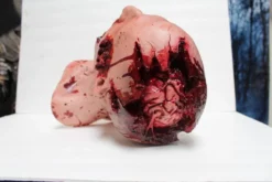 Dapper Cadaver Workshop Brainfood Martin Head