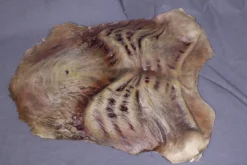 Dapper Cadaver Props Zombie Torso Skin - Stock