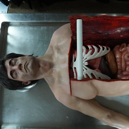 Dapper Cadaver Props Sale -Dapper Cadaver Props Sale DSC09329 MaleAutopsy6 f9b9340d 8c71 4381 9de9 09794fe3352a